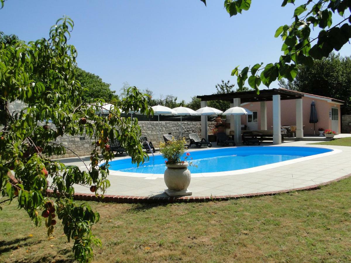 Maran Apartament